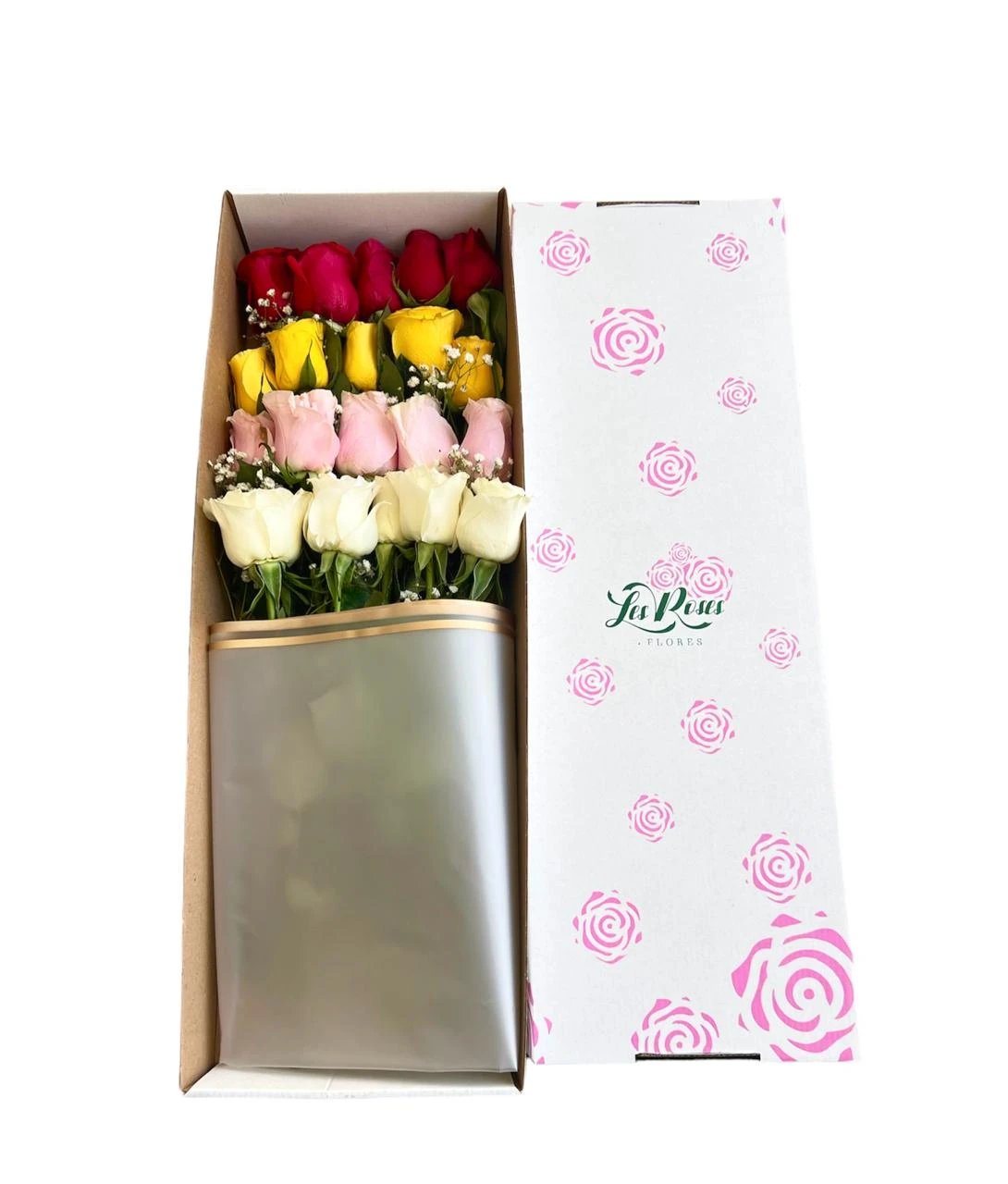 Caja De Rosas De Colores X24 Surtidas. Estuche de rosas para Amor y Amistad de Flores Les Roses, envío a domicilio.