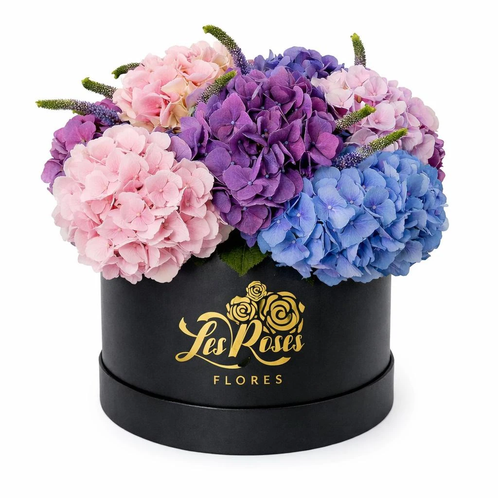Caja Floral De Hortensias Surtidas X6 — flores para cumpleaños. Flores Les Roses, envío a domicilio.