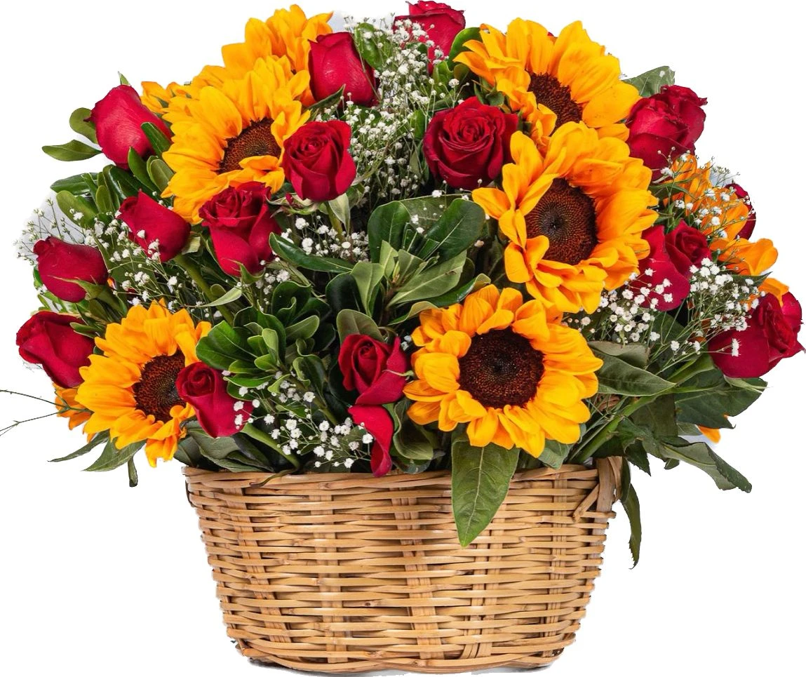 Canasta De Rosas Rojas X24 Y Girasoles X8 — flores para cumpleaños. Flores Les Roses, envío a domicilio.